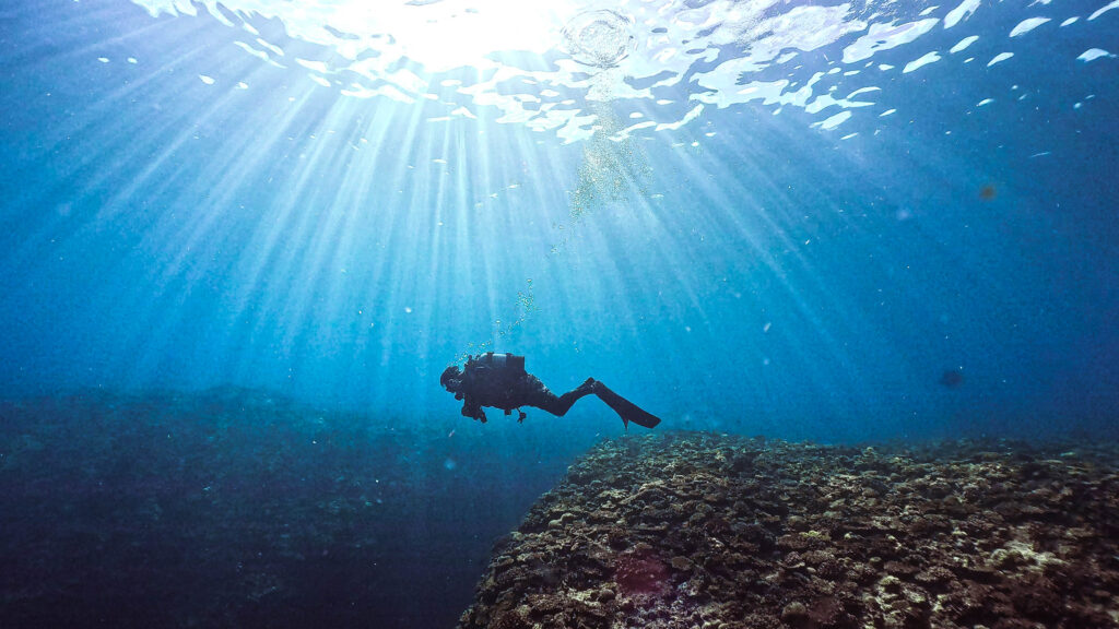 沖縄　ダイビングライセンス