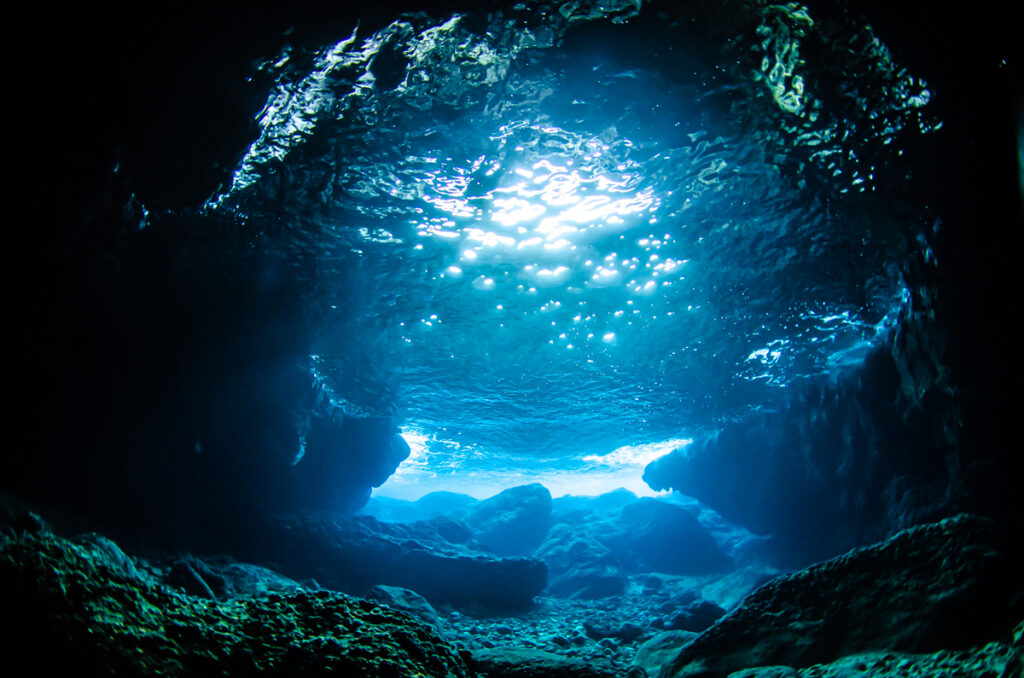 沖縄　ダイビングライセンス