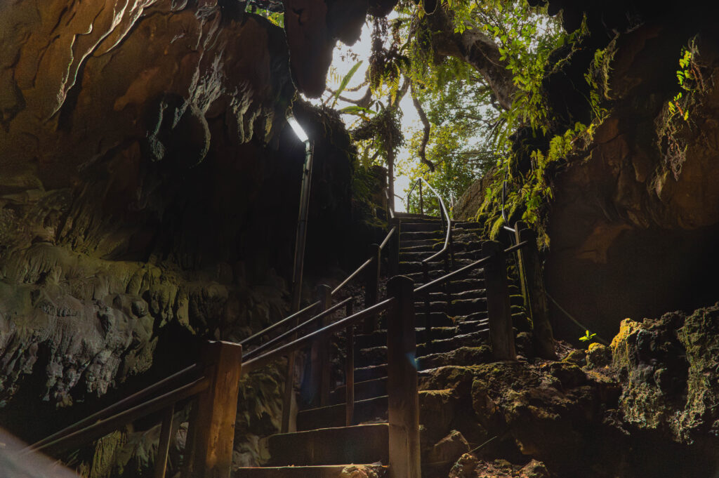 沖縄　ダイビングライセンス