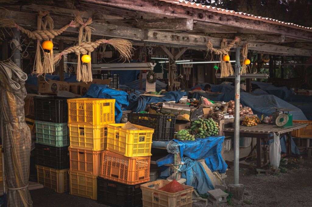 沖縄　ダイビングライセンス