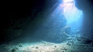 沖縄 ダイビングライセンス