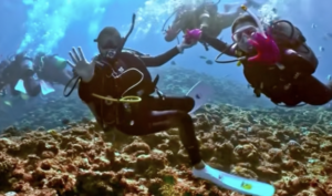 沖縄 ダイビングライセンス