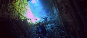 沖縄 ダイビングライセンス