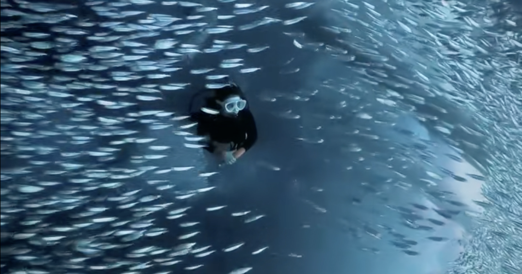 ゴリラチョップのミジュンまだ健在