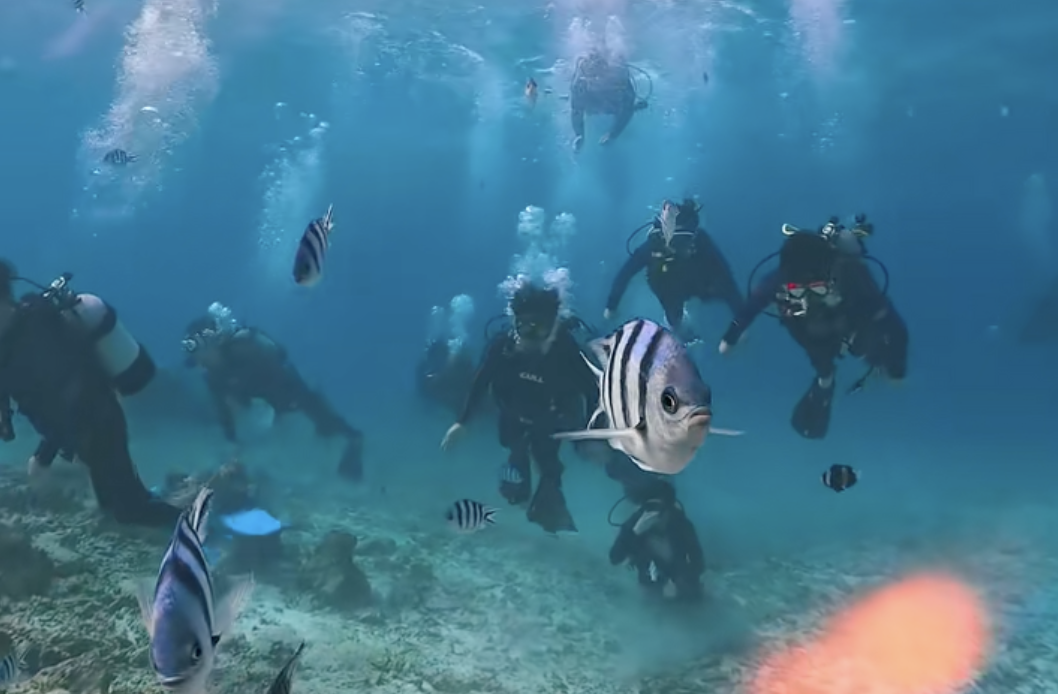 沖縄恩納村 山田ポイントでダイビング