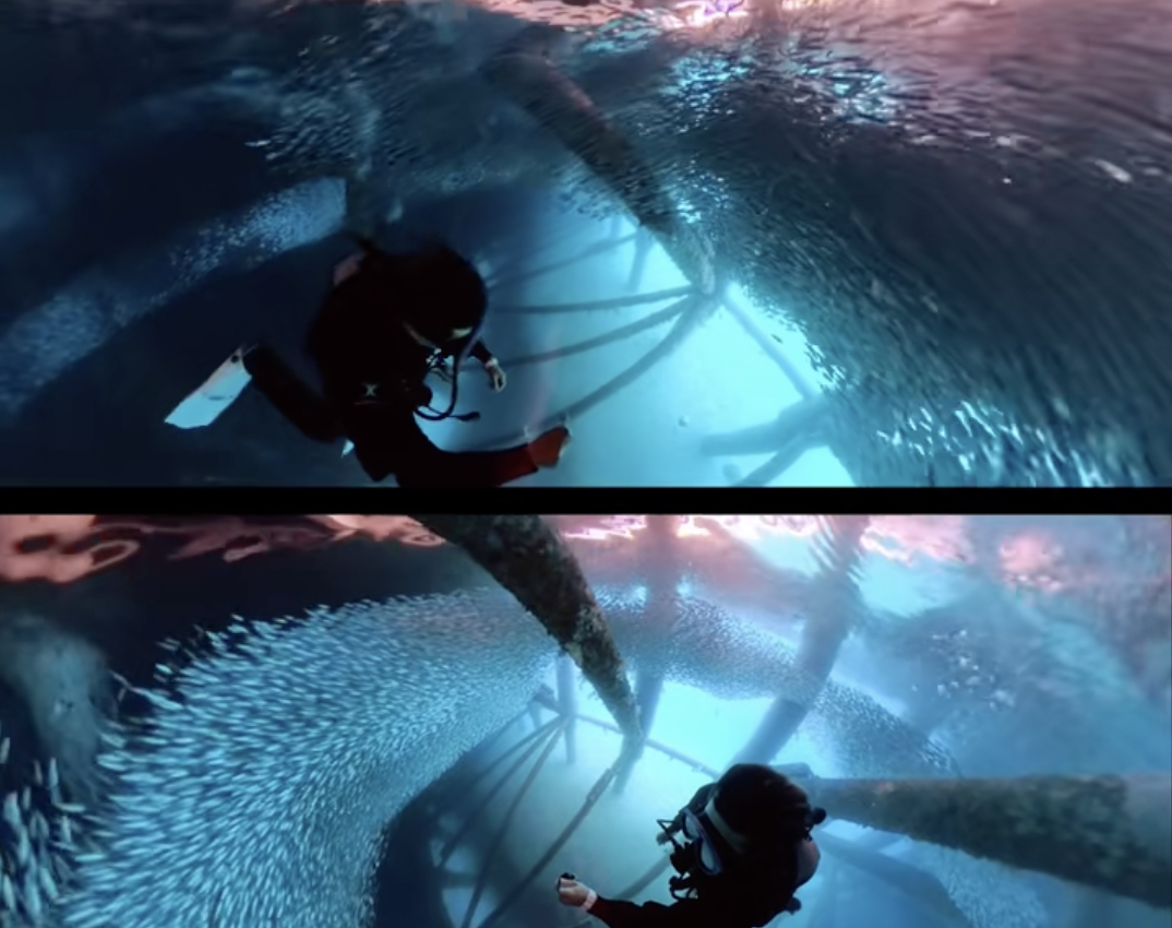 ミジュンミジュンミジュンのゴリラチョップ