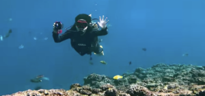 沖縄ダイビングライセンス