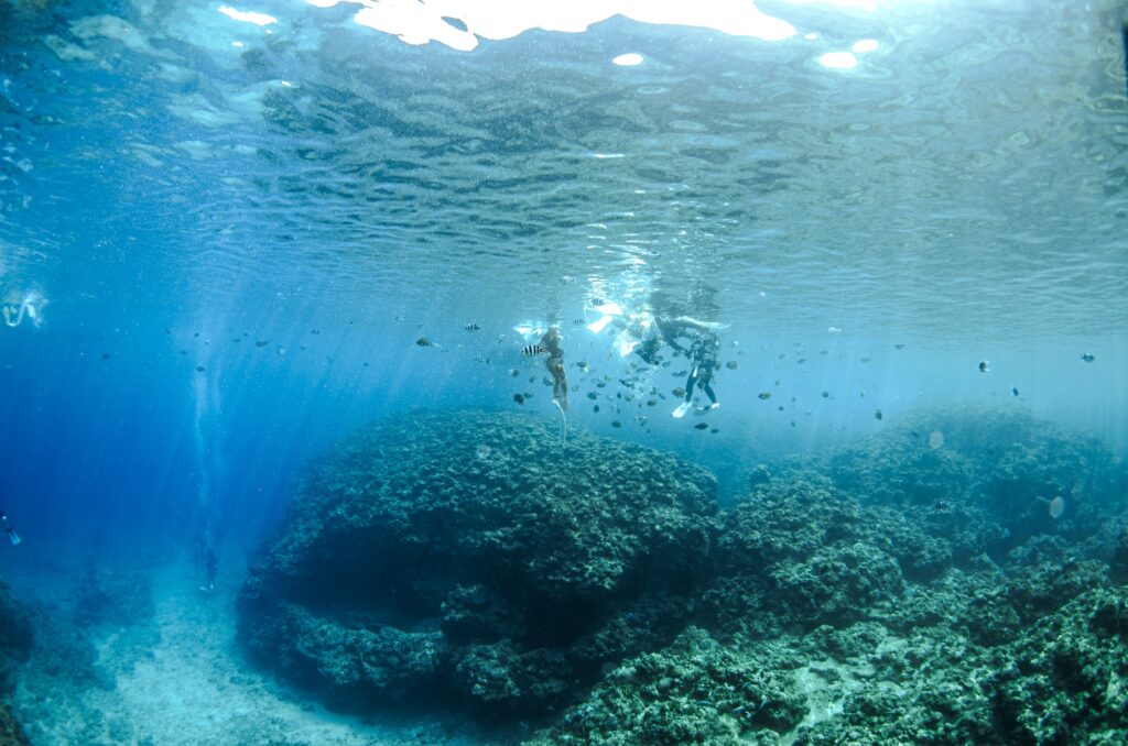 沖縄　スキンダイビング