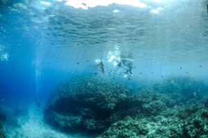 沖縄　スキンダイビング