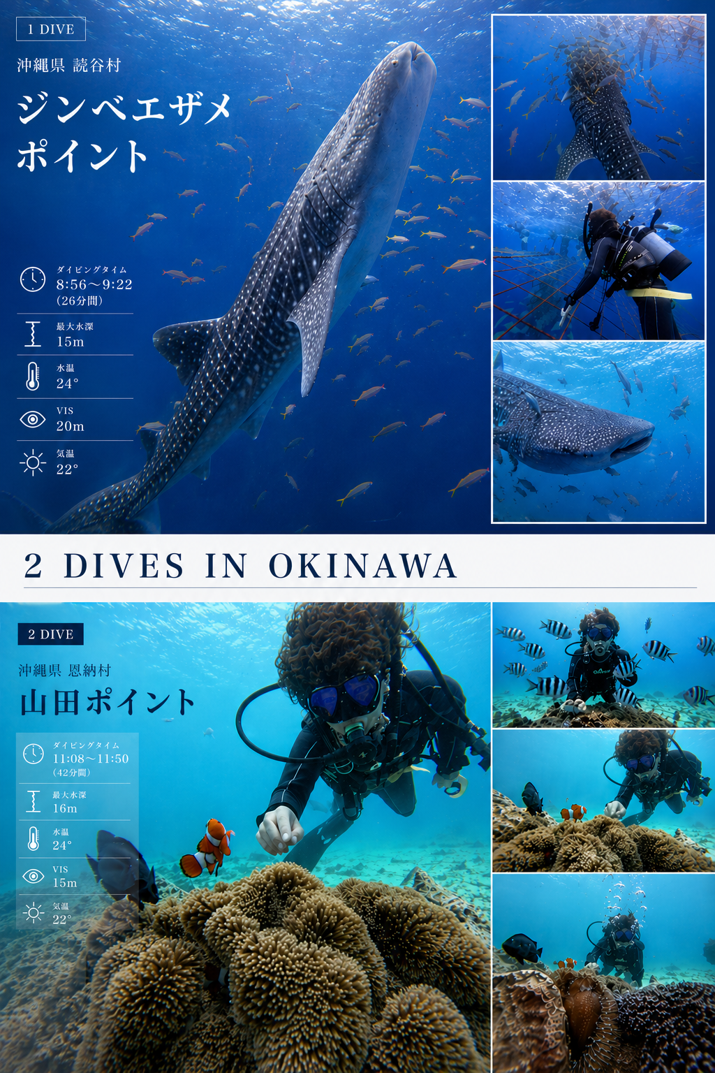 ジンベエザメと青の洞窟ダイビングだったけど