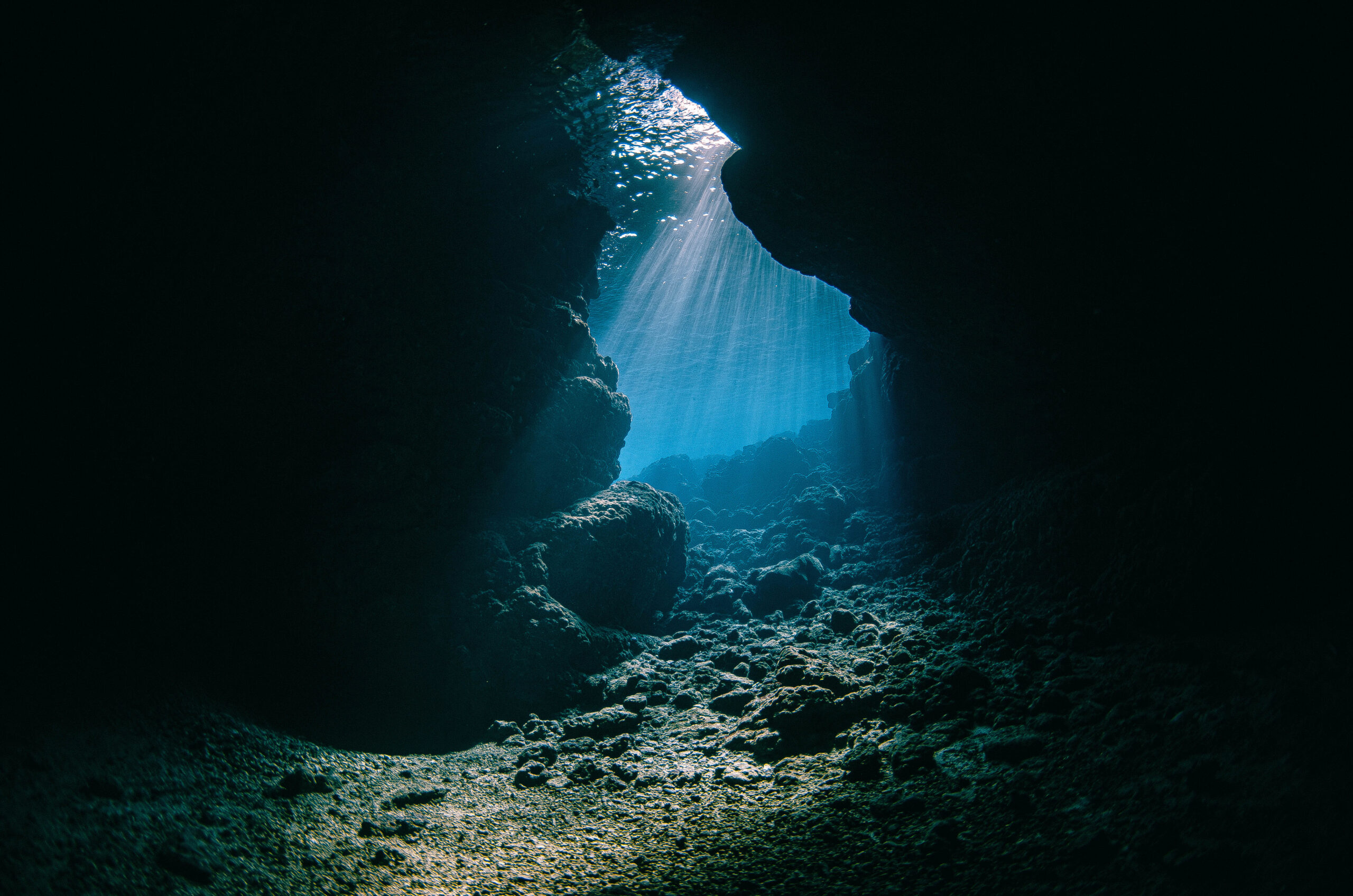 水中写真ギャラリー