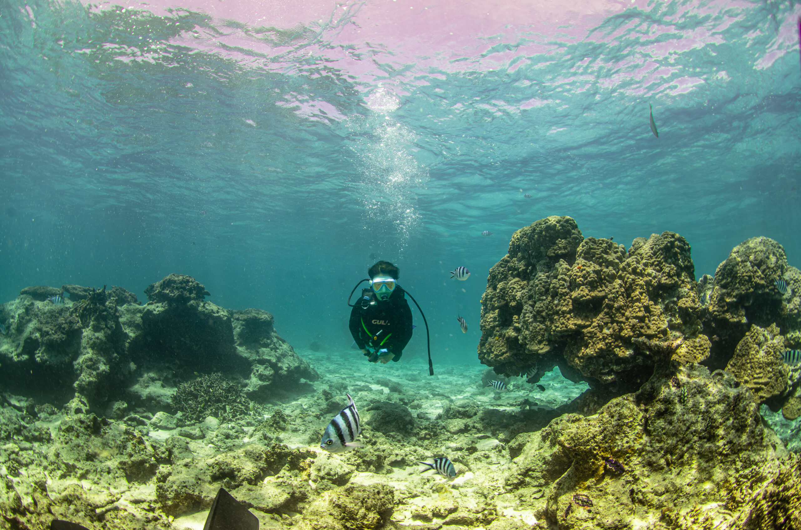 沖縄 ダイビングライセンス