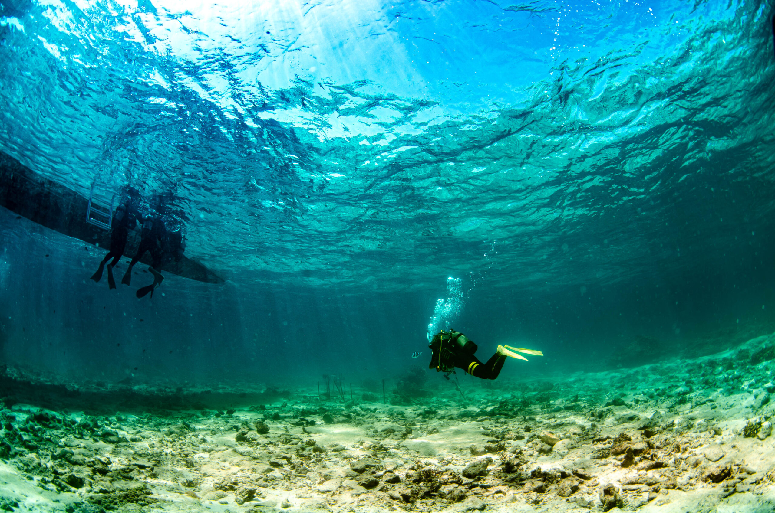 沖縄 ダイビングライセンス