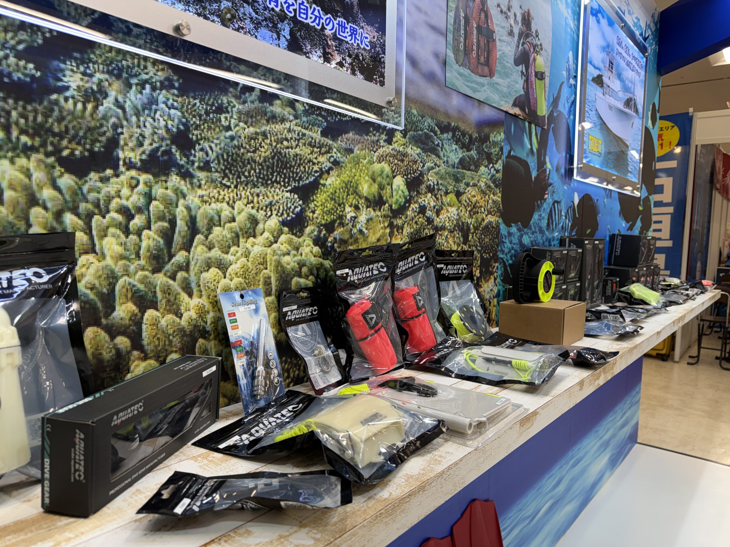 沖縄 ダイビングライセンス