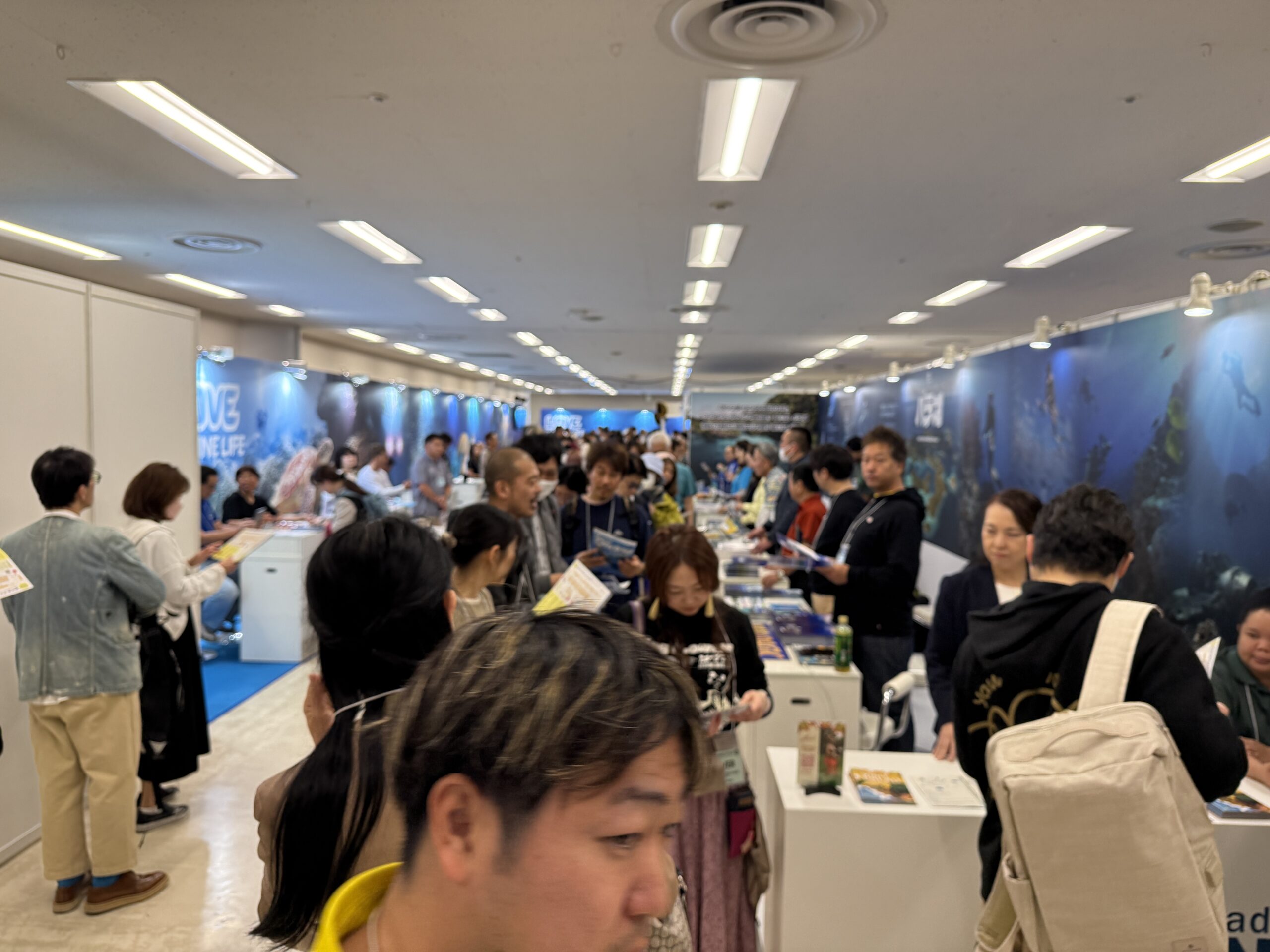 沖縄 ダイビングライセンス