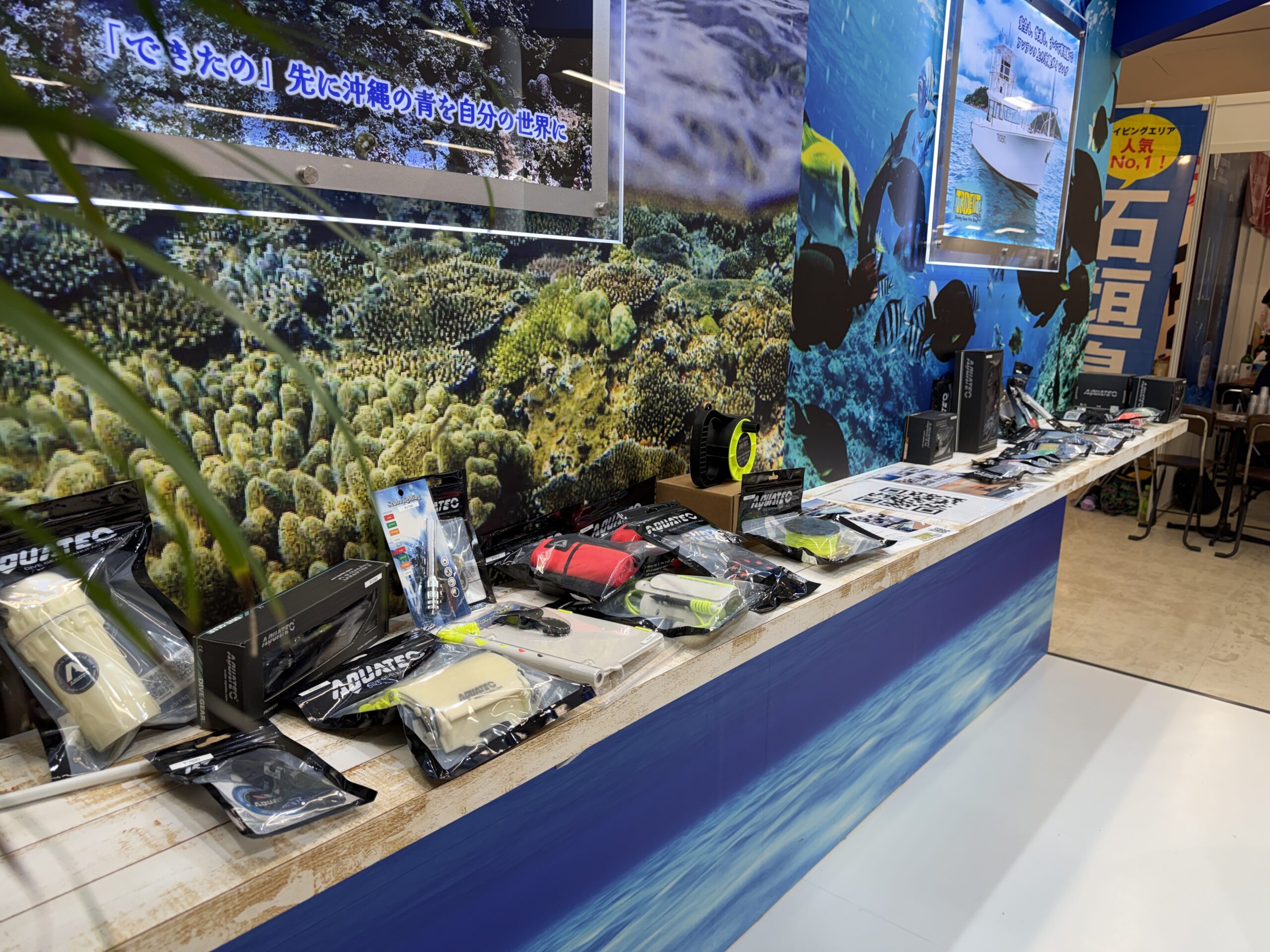 沖縄 ダイビングライセンス