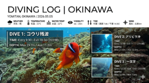 沖縄 ダイビングライセンス