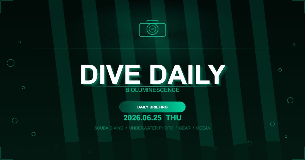 【DIVE DAILY】2026年06月25日（木）— Bioluminescence — 世界のダイビング最新情報