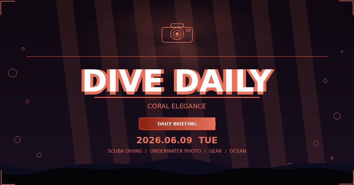 【DIVE DAILY】2026年06月09日（火）— Coral Elegance — 世界のダイビング最新情報