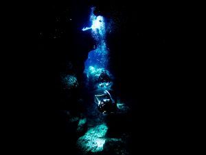 瀬底島 ダイビング