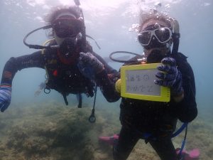 恩納村 ダイビングライセンス