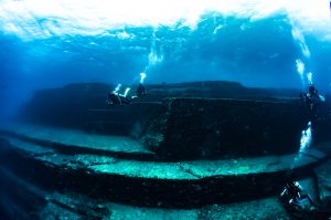 恩納村 ダイビングライセンス