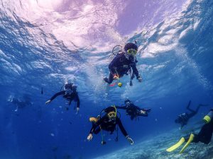 恩納村 ダイビングライセンス