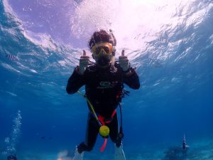 恩納村 ダイビングライセンス