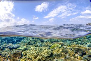 瀬底島 ファンダイビング