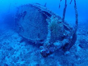 エモンズ ダイビング