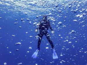 恩納村 ダイビングライセンス