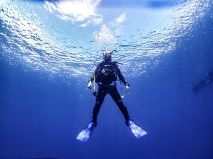 恩納村 ダイビングライセンス