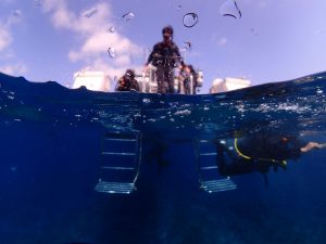 沖縄 ダイビング