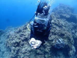 恩納村 ダイビングライセンス