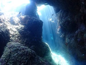 恩納村 ダイビングライセンス