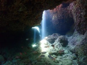 恩納村 ダイビングライセンス