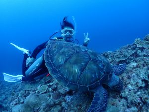 恩納村 ダイビングライセンス