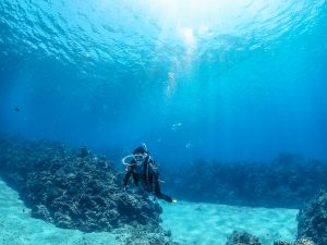 恩納村 ダイビングライセンス
