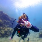 沖縄本島北部の美ら海すぐそこダイビング!