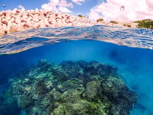 沖縄 北部ゴリラチョップ　2ビーチダイビング