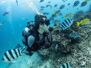 恩納村で体験ダイビング 癒しのクマノミパラダイス！