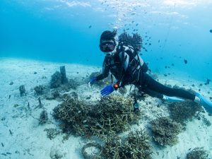 恩納村 ダイビングライセンス