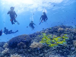 恩納村 ダイビング