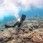 恩納村　谷茶ポイント