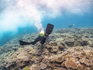 恩納村　谷茶ポイント
