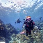 ダイビング 用語集