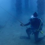 沖縄 レッドビーチはウミウシパラダイス!