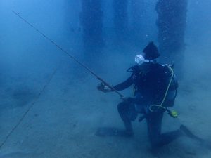 沖縄 レッドビーチはウミウシパラダイス！