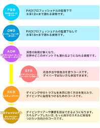 恩納村 ダイビングライセンス