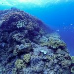 砂辺海底遺跡（北谷海底遺跡）